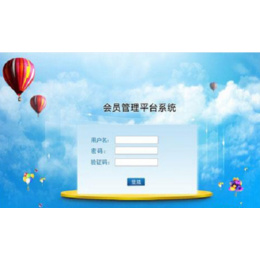 系統軟件開發 黑龍江與山東的行業特色與服務優勢